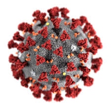 Latvijas zinātnieki izstrādā metodi, lai noteiktu koronavīrusa izplatību vidē.