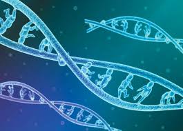 Kāpēc pasaulē satraucas par sadarbību ar gēnu sekvencēšanas koncernu?
