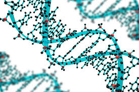 Nobela prēmija ķīmijā piešķirta par gēnu rediģēšanas tehnoloģiju