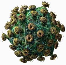 Kanalizācijas epidemioloģija: jaunā koronavīrusa ceļš no notekūdeņiem līdz laboratorijai
