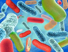 Mikrobioma un veselības saistība. Iedzīvotājus aicina iesaistīties zinātniskā pētījumā.