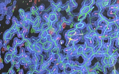 Notiks Instruct-LV trešā strukturālās bioloģijas konference