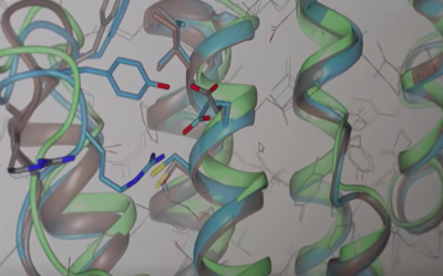 Solis tuvāk efektīvākai vakcīnai pret Laimas slimību
