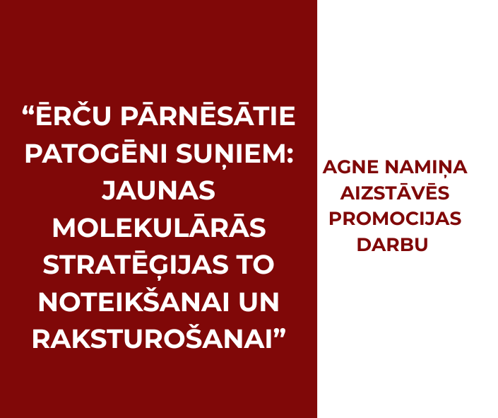 Agne Namiņa aizstāvēs promocijas darbu